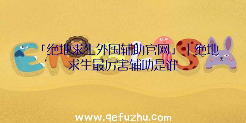 「绝地求生外国辅助官网」|绝地求生最厉害辅助是谁
